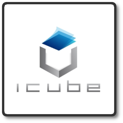Empresa Icube